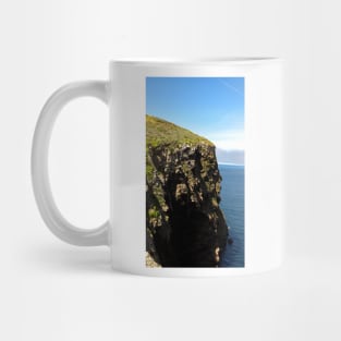 Channel Islands National Park Santa Cruz Island Mug